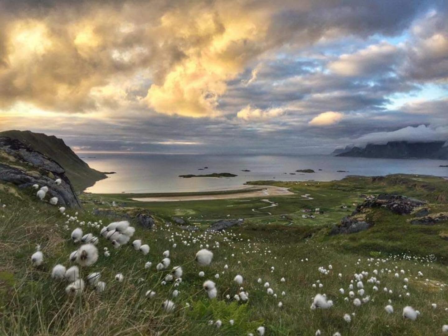 Fredvang Farm House - Lofoten מראה חיצוני תמונה